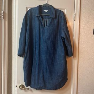 Free Assembly denim dress